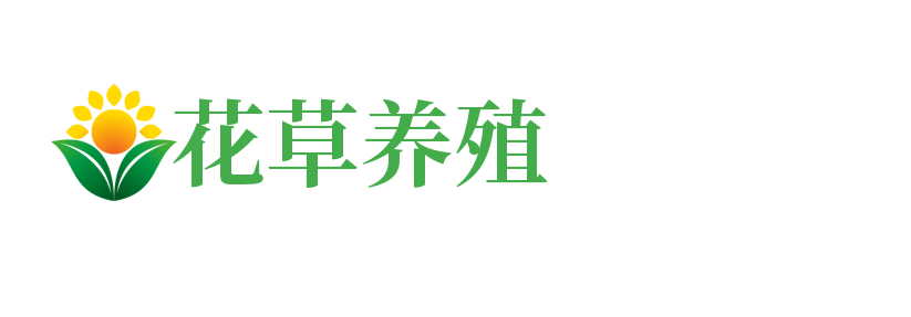 泰宁县德盛软陶制作有限公司
